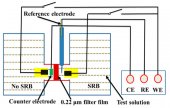 Coatings, Vol. 10, Pages 1116 : Galvanic Corrosion Due to a Heterogeneous Sulfate Reducing Bacteria Biofilm
