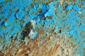 European MIC Network Autumn Biocorrosion Webinars, Autumn 2020