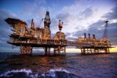 Project aims to remove bacterial blight from oil production
