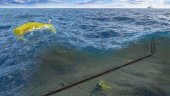 Houlomoteur : Un nouveau système émerge en Ecosse